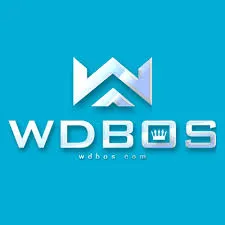 WDBOS - Balapan Seru dan Menantang di Jalanan